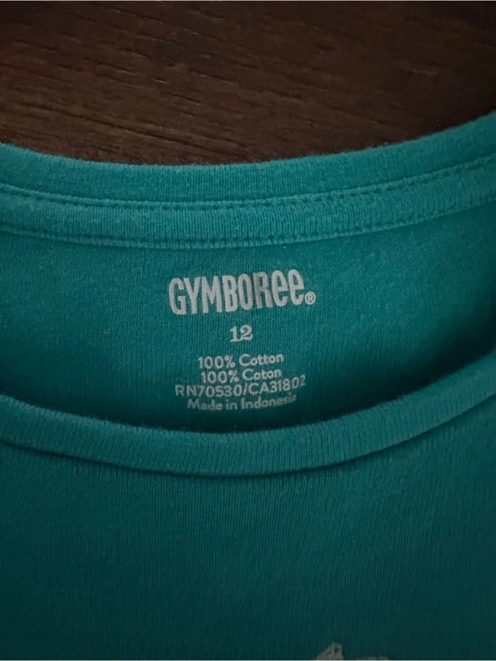 Gymboree Girls' Teal Long-Sleeve Top with 'Abra Cadabra' Graphic